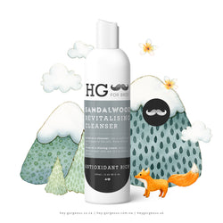 HG For Bros Sandalwood Cleanser